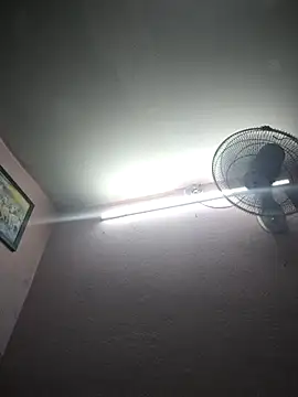 rexo 12 online show from April 1, 9:55 am