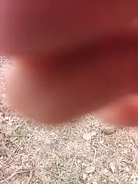 xmanraavan online show from April 7, 5:51 am