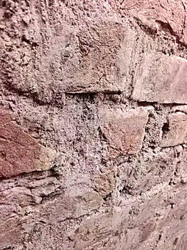 xmanraavan online show from April 3, 5:26 am