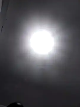 SteedyGee online show from April 8, 7:00 pm