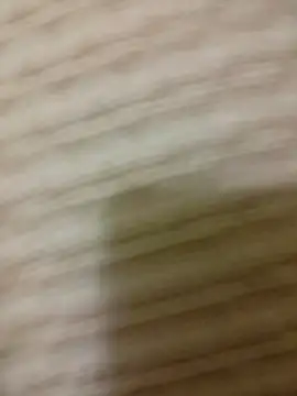 SteedyGee online show from April 15, 8:31 pm