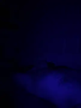 Diversified Reality online show from April 9, 10:43 am