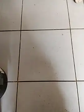 zeptap online show from April 2, 8:22 am