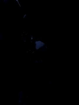 CocKtopus prim3 online show from April 2, 11:23 pm