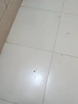 Badboy 123Ag online show from April 28, 10:31 am