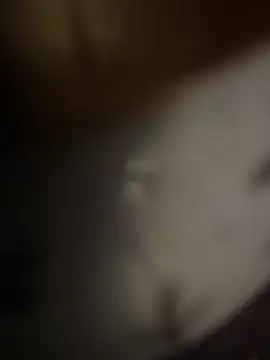 coolbig1 online show from April 14, 11:59 pm