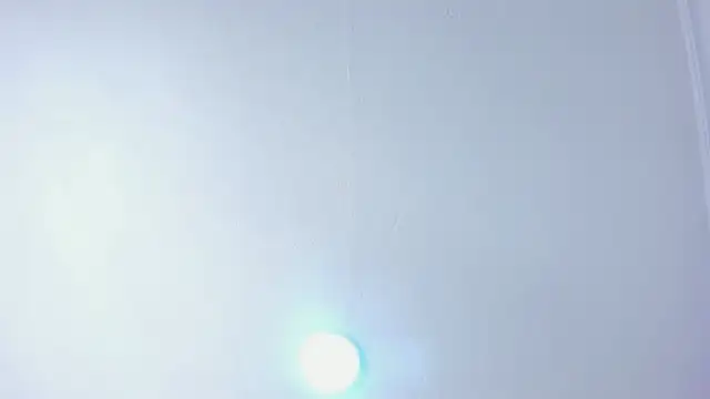 Bruno fox online show from June 24, 7:50 pm
