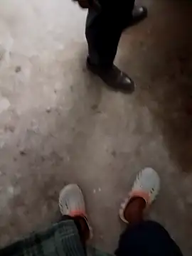 Bengali BULL1 online show from November 21, 11:53 am