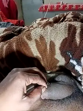 Bengali BULL1 online show from January 8, 4:12 pm