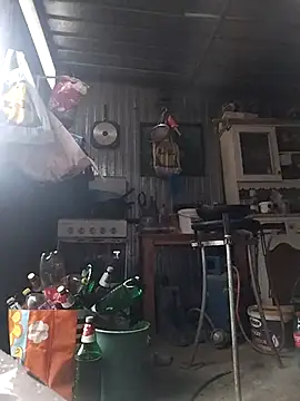 sarpe4 online show from February 15, 2:58 pm