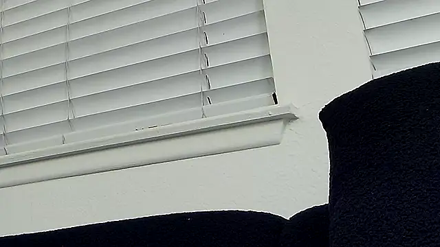 SebastianReiss online show from February 15, 5:24 am