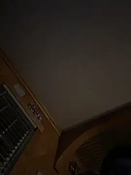 Snapshot of Sitonmyface2020@xh chatting on November 2, 6:17 am Sitonmyface2020xh online show from November 2, 6:17 am