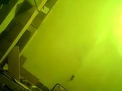 god23free online show from February 23, 3:47 pm