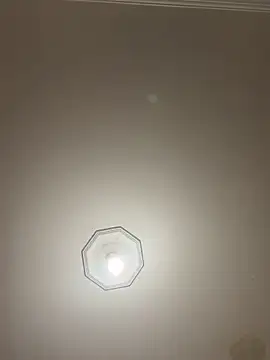 dreamusslive online show from January 14, 11:10 am