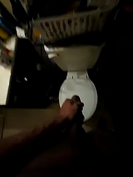 BBCBULLYSHOCK online show from January 15, 4:09 pm