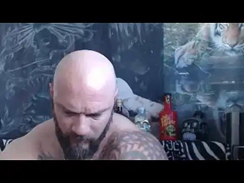 viking 30 online show from April 28, 6:29 am