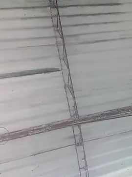 jonnygomez online show from January 18, 11:34 am