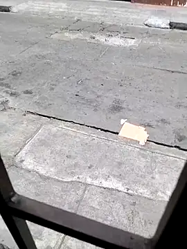 Pingon Chocolate online show from February 1, 11:20 am