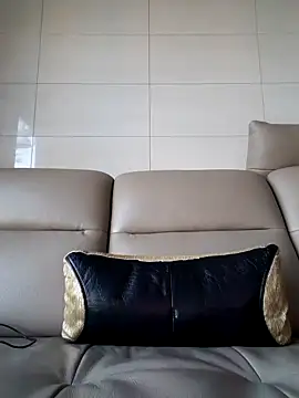 Snapshot of Ssk10N chatting on February 13, 8:48 am Ssk10N online show from February 13, 8:48 am