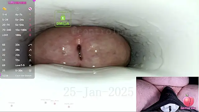 Snapshot of controlmytoys chatting on January 25, 8:00 pm controlmytoys online show from January 25, 8:00 pm