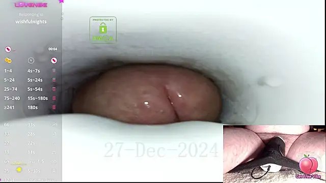 Snapshot of controlmytoys chatting on December 27, 8:35 am controlmytoys online show from December 27, 8:35 am