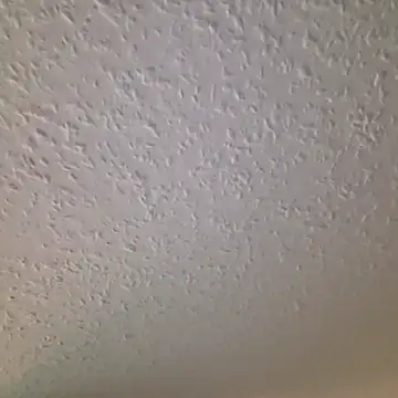 Zauberstab8 online show from October 19, 8:56 pm