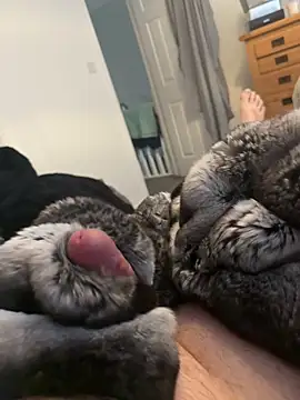 Furdale online show from April 1, 2:25 pm