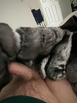 Furdale online show from February 28, 2:05 pm