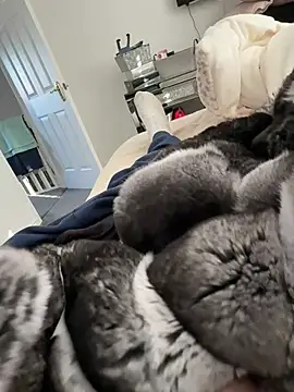 Furdale online show from March 2, 3:08 pm