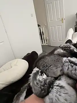 Furdale online show from March 18, 2:20 pm