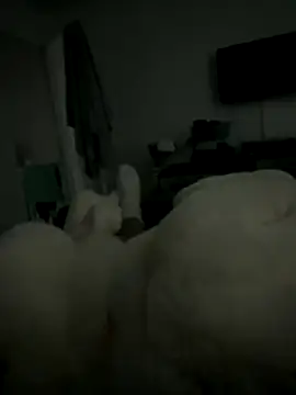 Furdale online show from November 5, 2:52 pm