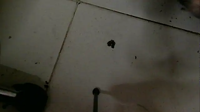 Snapshot of chino_roz chatting on February 19, 4:33 pm chino roz online show from February 19, 4:33 pm