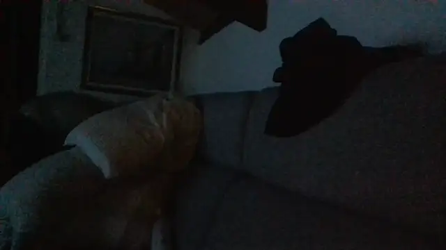 davigochi77bcn online show from February 20, 10:22 pm