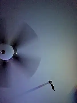 22sexytwin online show from April 10, 5:36 am