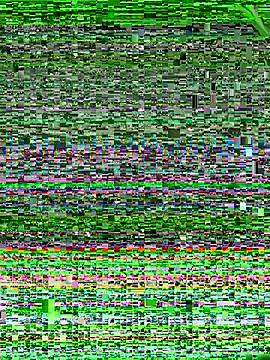 Snapshot of LongDMan420 chatting on February 15, 1:16 pm LongDMan420 online show from February 15, 1:16 pm