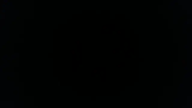 palidin1 online show from November 26, 1:19 am