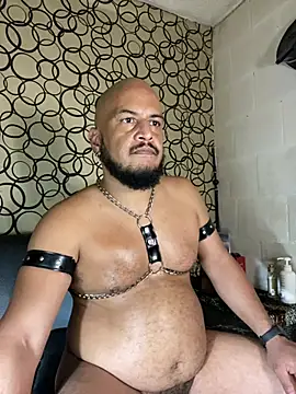 the master foal  online show from April 25, 9:23 am