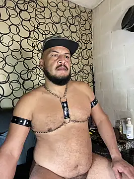 the master foal  online show from April 19, 7:19 am