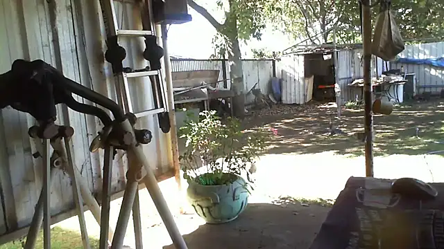 Snapshot of herbie010666 chatting on September 26, 5:16 am herbie010666 online show from September 26, 5:16 am