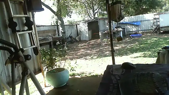 Snapshot of herbie010666 chatting on October 10, 5:01 am herbie010666 online show from October 10, 5:01 am
