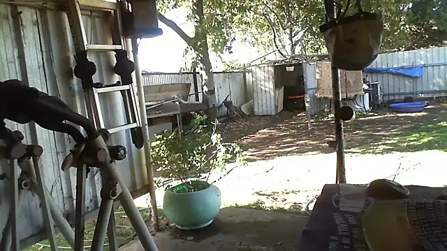 Snapshot of herbie010666 chatting on September 28, 5:38 am herbie010666 online show from September 28, 5:38 am