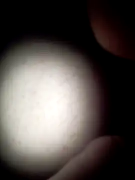 commonjust online show from November 26, 5:21 am