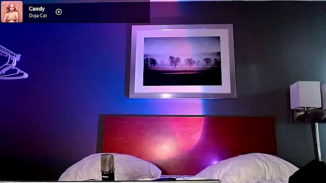 Snarfle82 online show from December 21, 6:27 pm