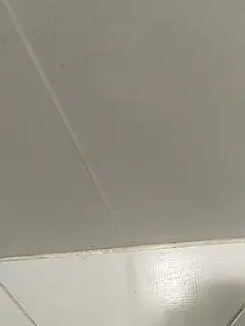 Consensustr online show from February 8, 1:15 pm