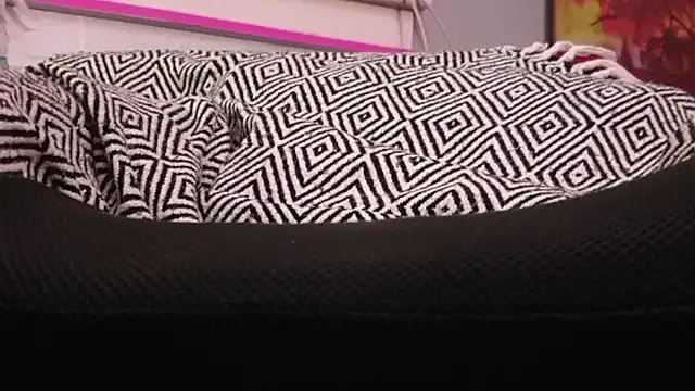 sexmadshyguy online show from December 22, 5:37 am