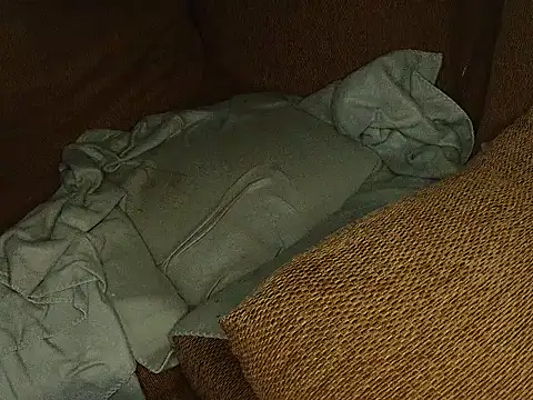 ajfuckinbusts online show from November 12, 5:08 pm