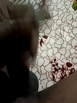 Like african online show from April 12, 9:11 am