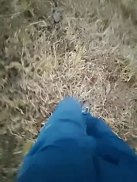 Desi Rider Aadi online show from February 5, 12:45 pm