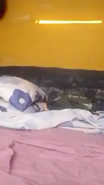 LULE37587001 online show from February 8, 3:56 am