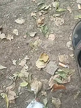 HastyCandle online show from January 11, 11:03 am